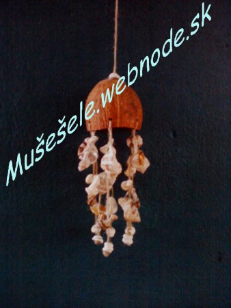 Mušľohra